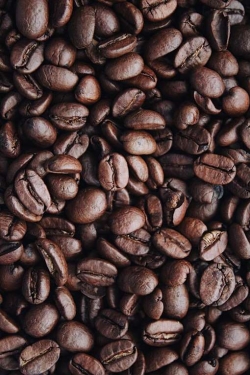 Czym jest profil smakowy kawy?
